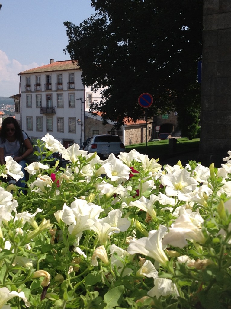 Foto de Viseu, Portugal