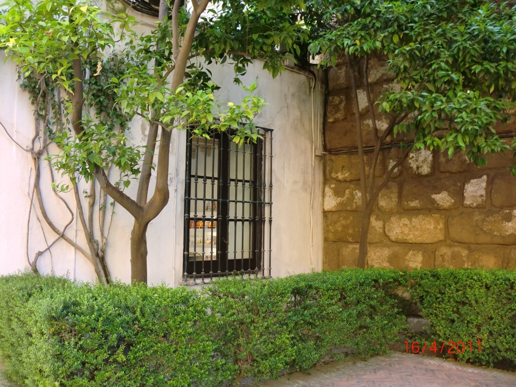 Foto de Sevilla (Andalucía), España