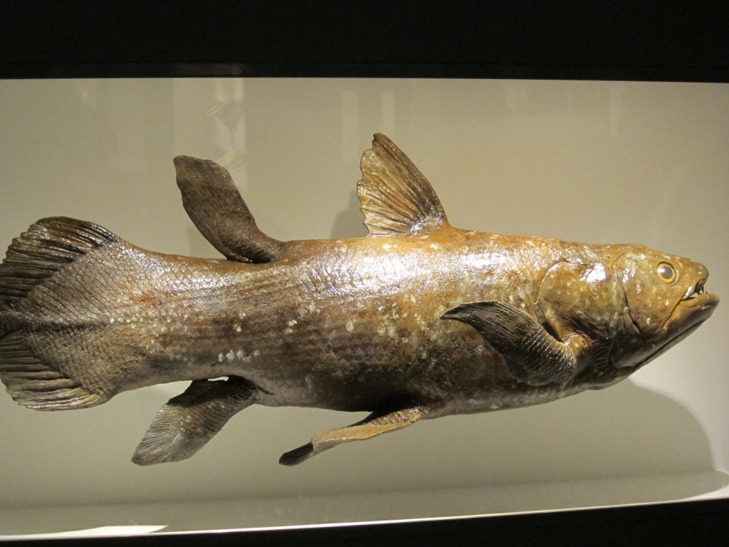 Foto de Houston (Texas), Estados Unidos