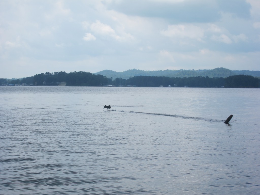 Foto de New Hope (Alabama), Estados Unidos