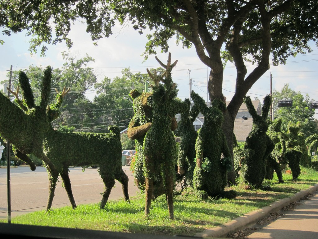 Foto de Houston (Texas), Estados Unidos