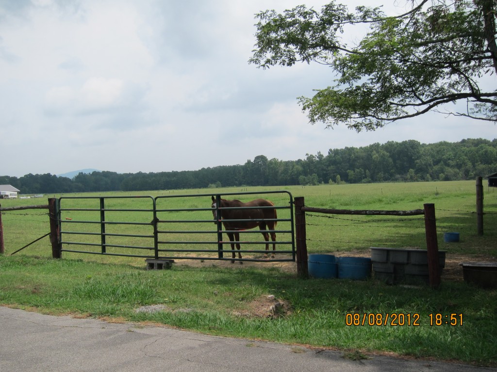 Foto de New Hope (Alabama), Estados Unidos