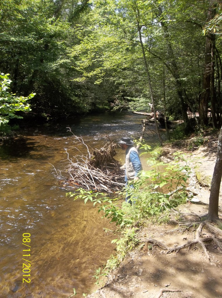 Foto de Gatlinburg (Tennessee), Estados Unidos