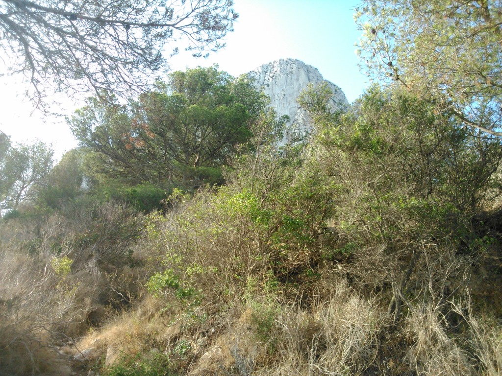 Foto de Calpe (Alicante), España