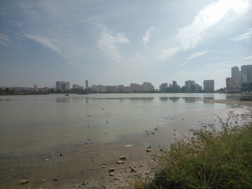 Foto: Salinas - Calpe (Alicante), España