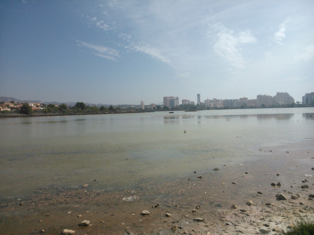 Foto: Salinas - Calpe (Alicante), España