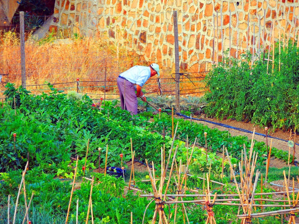 Foto de Ardales (Málaga), España
