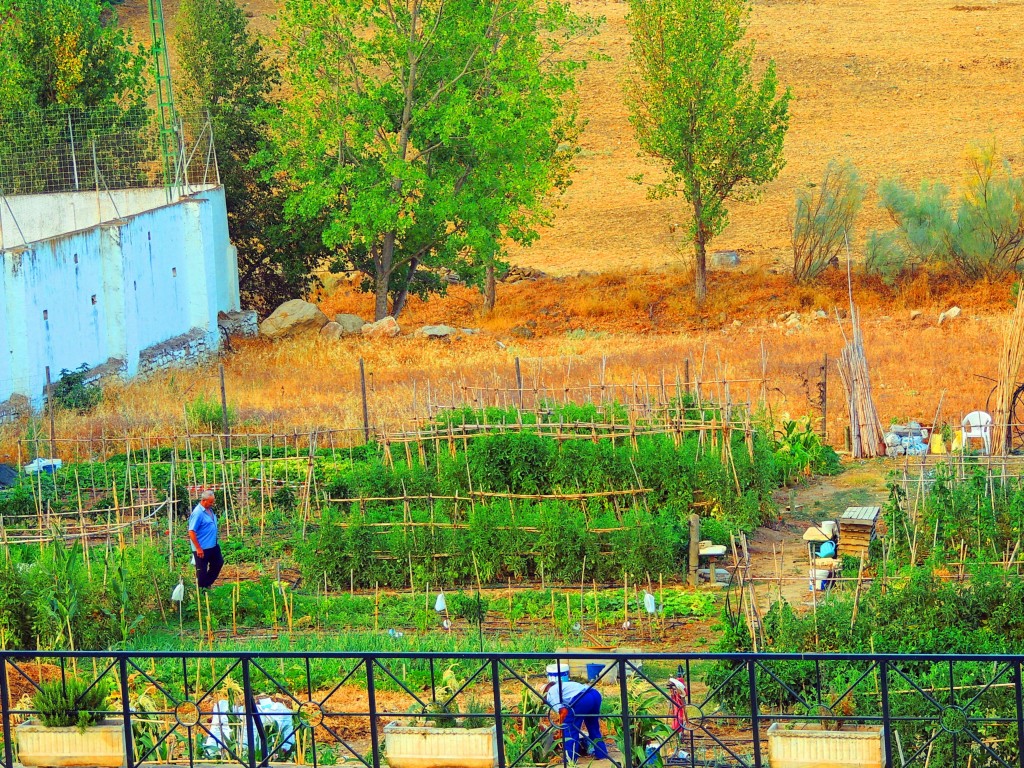 Foto de Ardales (Málaga), España