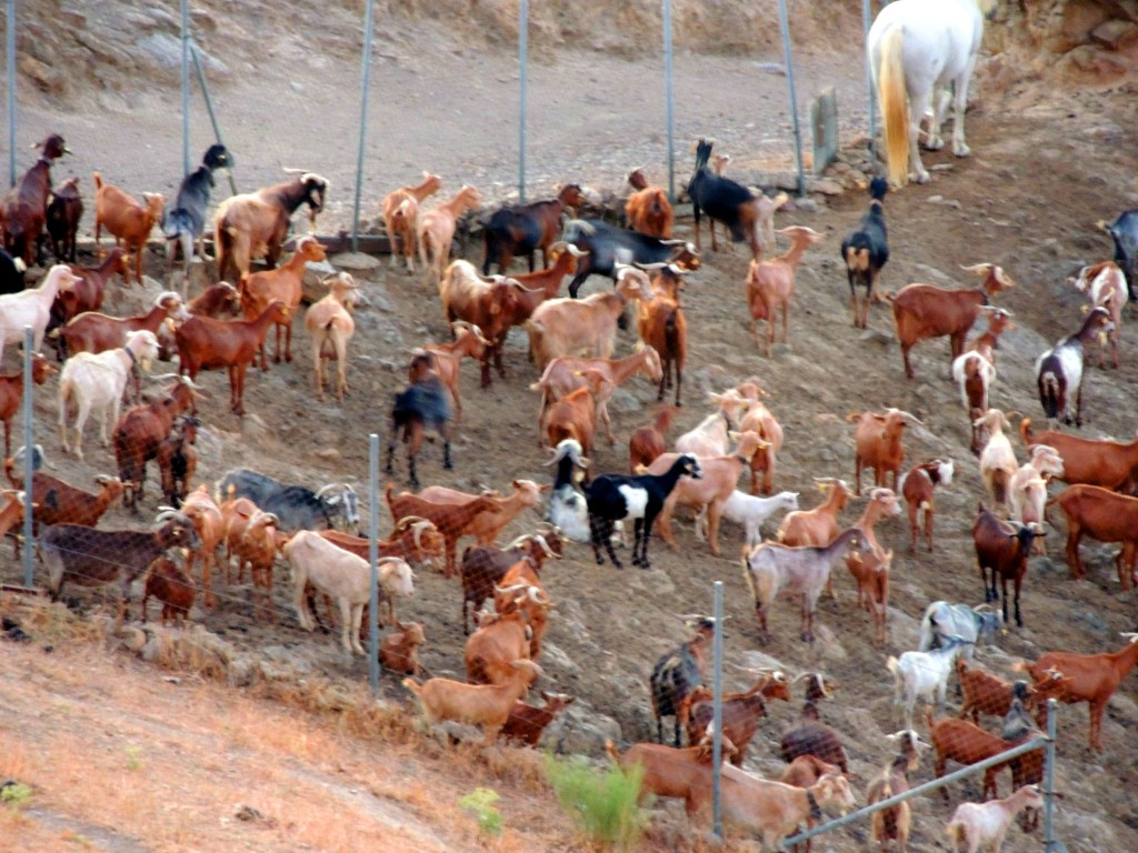Foto de Ardales (Málaga), España