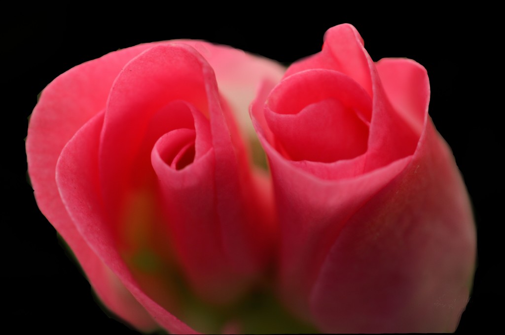 Foto de Alajuela, Costa Rica