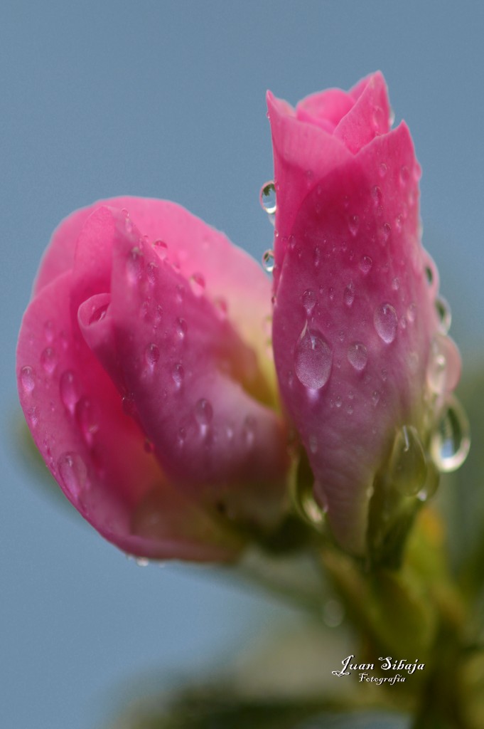 Foto de Alajuela, Costa Rica