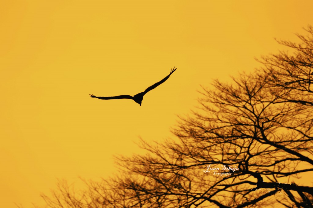 Foto de Alajuela, Costa Rica