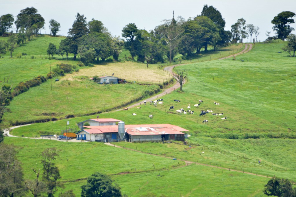 Foto de Alajuela, Costa Rica