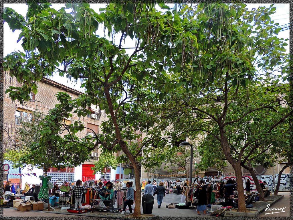 Foto: 150927-12 ZARAGOZA - Zaragoza (Aragón), España