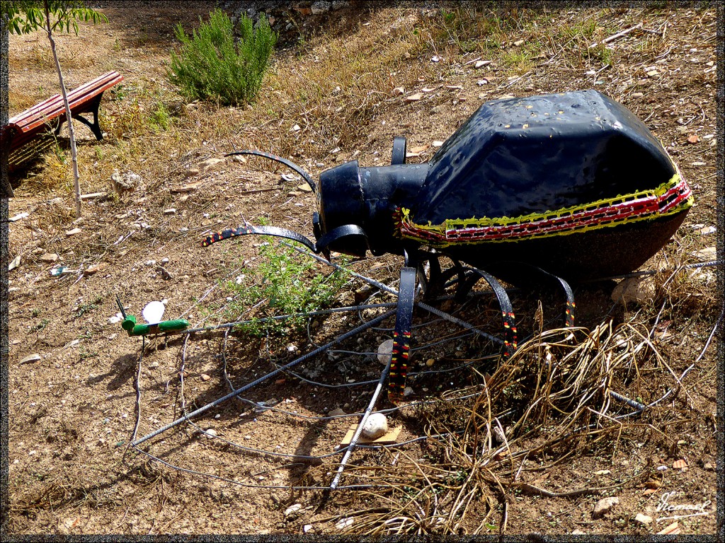 Foto: 150805-19 MONTEAGUDO VICARIA - Monteagudo De Las Vicarias (Soria), España
