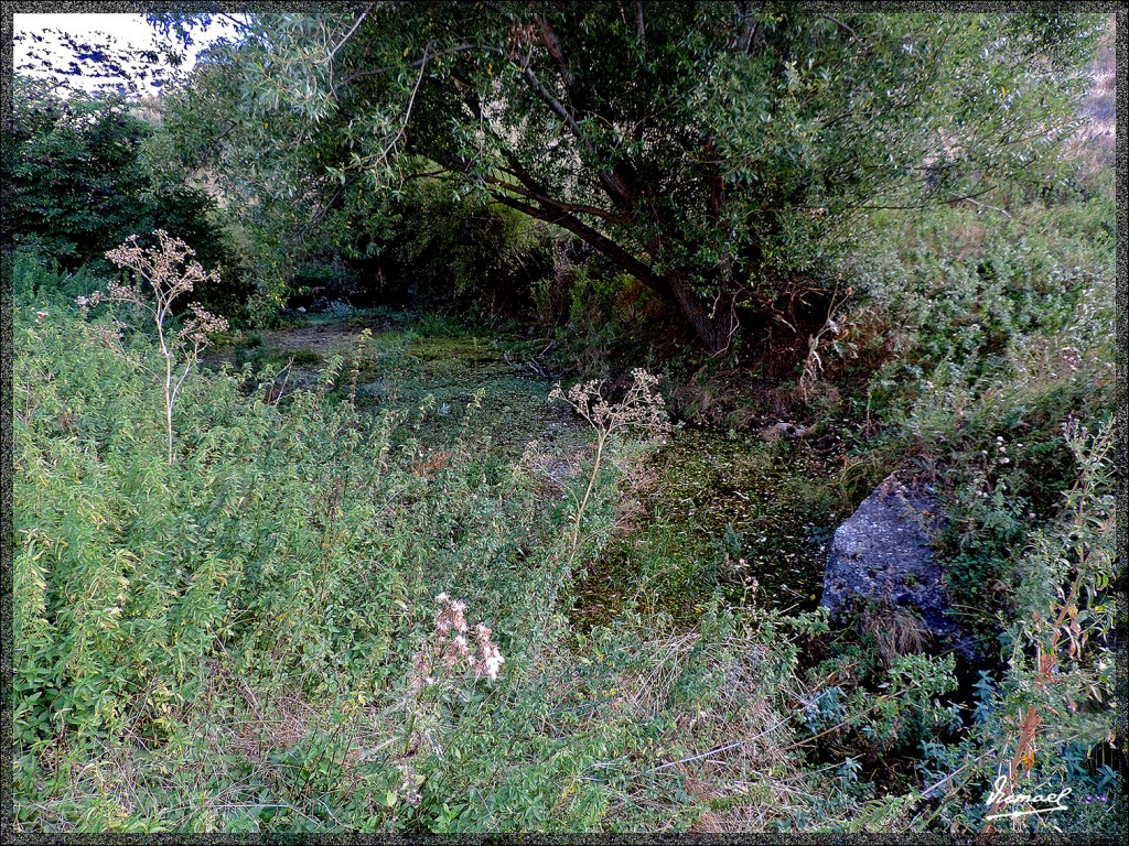 Foto: 150827-34 IRUECHA ALGONDRON - Iruecha (Soria), España