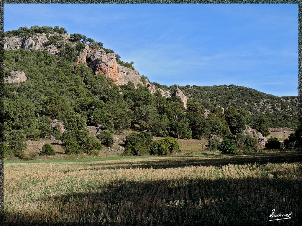 Foto: 150827-24 IRUECHA ALGONDRON - Iruecha (Soria), España