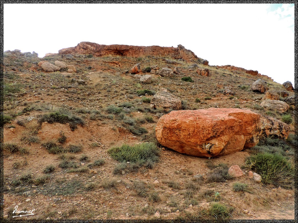 Foto: 150826-20 ARCOBRIGA MONREAL - Monreal De Ariza (Zaragoza), España