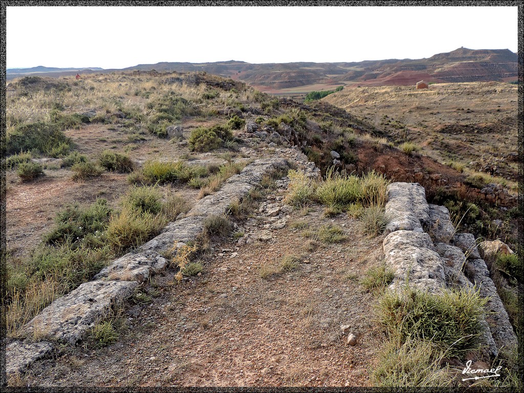 Foto: 150826-06 ARCOBRIGA MONREAL - Monreal De Ariza (Zaragoza), España