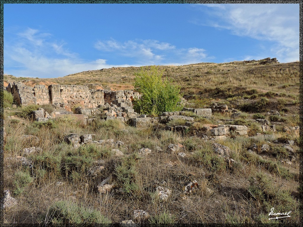 Foto: 150826-17 ARCOBRIGA MONREAL - Monreal De Ariza (Zaragoza), España