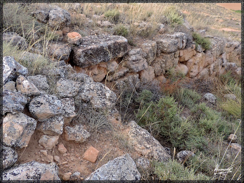 Foto: 150826-09 ARCOBRIGA MONREAL - Monreal De Ariza (Zaragoza), España