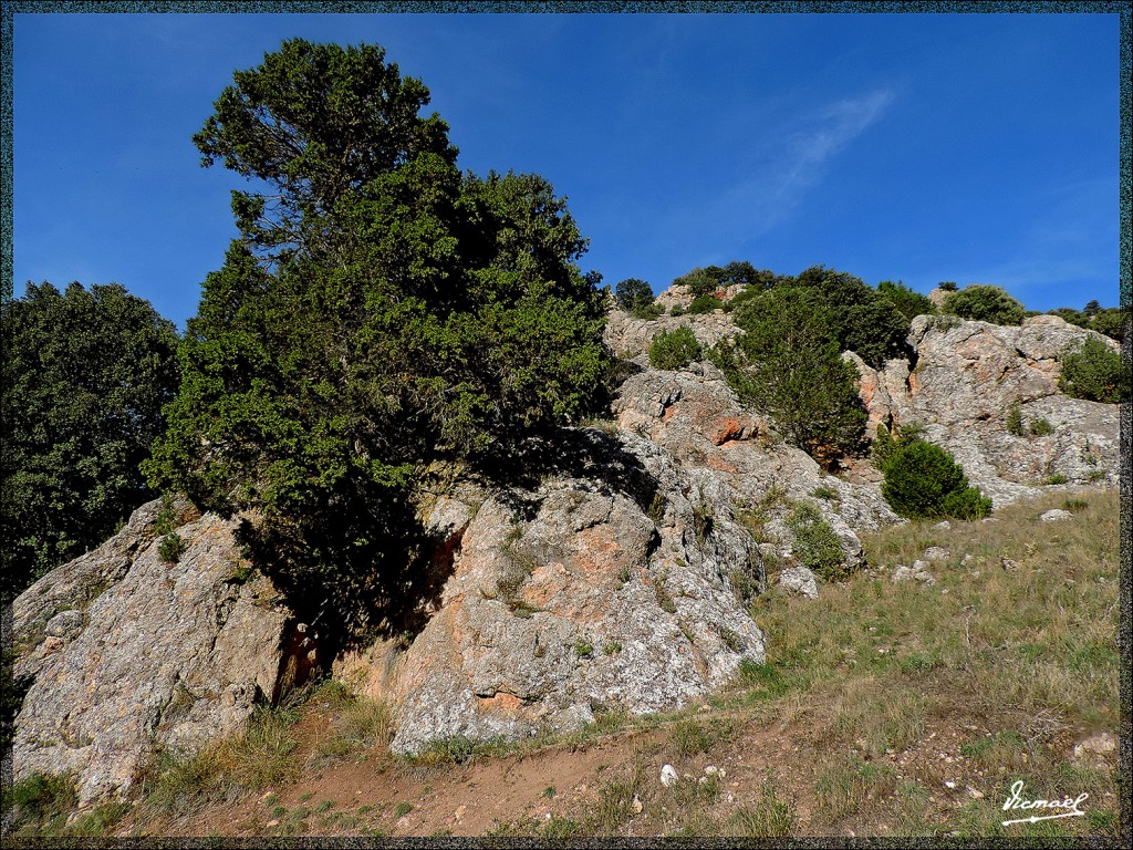 Foto: 150827-18 IRUECHA ALGONDRON - Iruecha (Soria), España