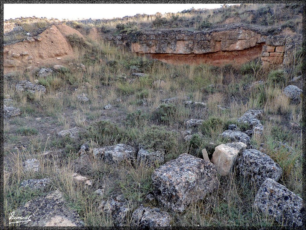 Foto: 150826-25 ARCOBRIGA MONREAL - Monreal De Ariza (Zaragoza), España