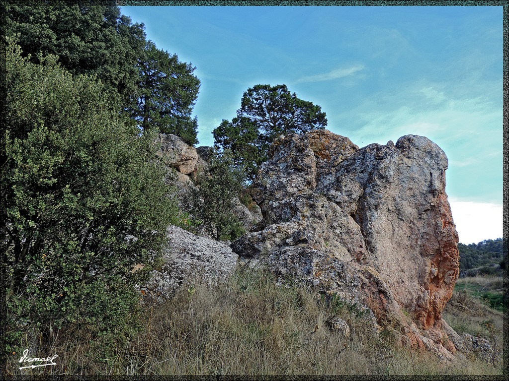 Foto: 150827-30 IRUECHA ALGONDRON - Iruecha (Soria), España