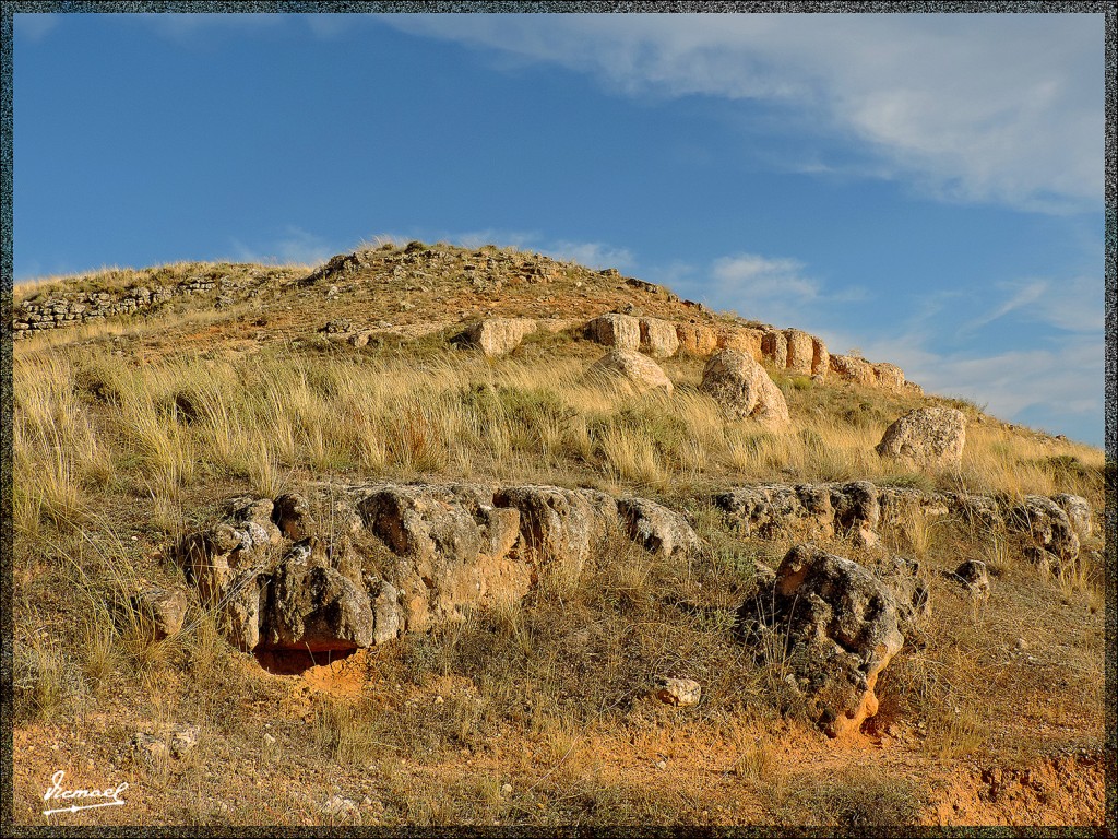 Foto: 150826-18 ARCOBRIGA MONREAL - Monreal De Ariza (Zaragoza), España