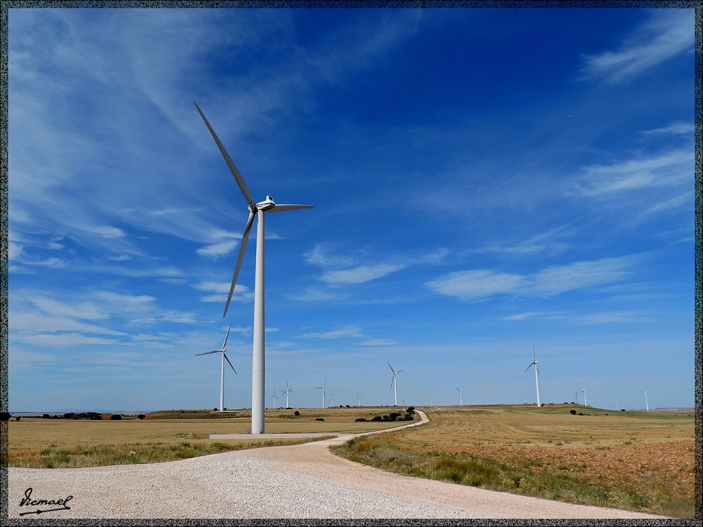 Foto: 150827-12 CHERCOLES - Chercoles (Soria), España