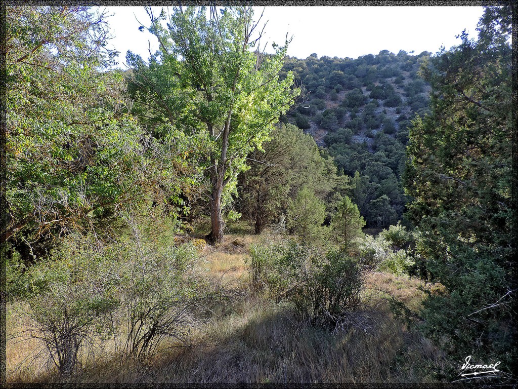 Foto: 150827-28 IRUECHA ALGONDRON - Iruecha (Soria), España
