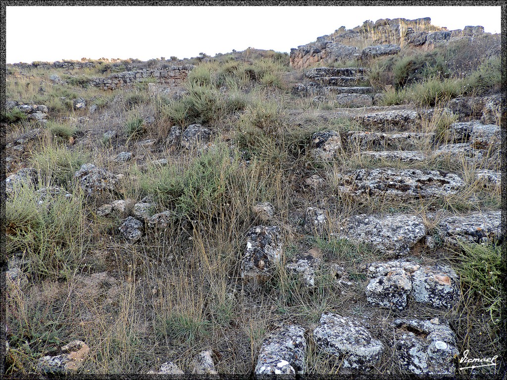 Foto: 150826-23 ARCOBRIGA MONREAL - Monreal De Ariza (Zaragoza), España