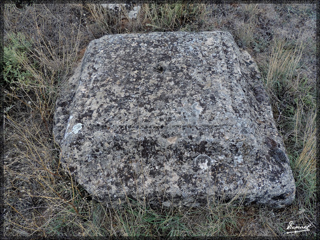 Foto: 150826-29 ARCOBRIGA MONREAL - Monreal De Ariza (Zaragoza), España