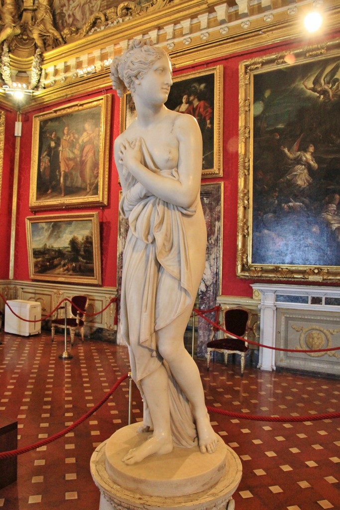 Foto: Interior del palacio Pitti - Florencia (Tuscany), Italia