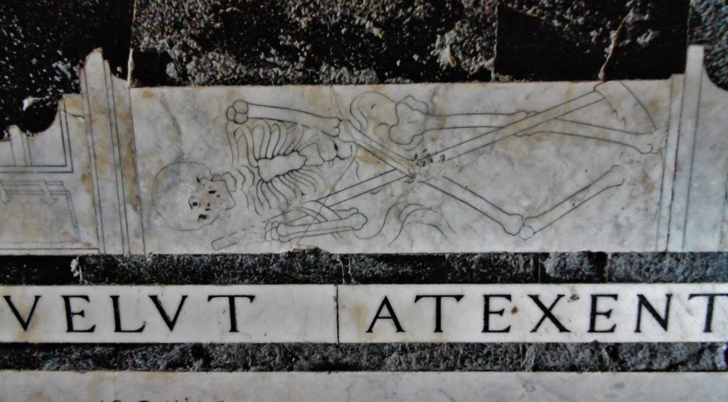 Foto: Santa María Novella - Florencia (Tuscany), Italia