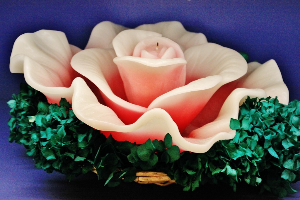 Foto: Farmacia de Santa María Novella - Florencia (Tuscany), Italia