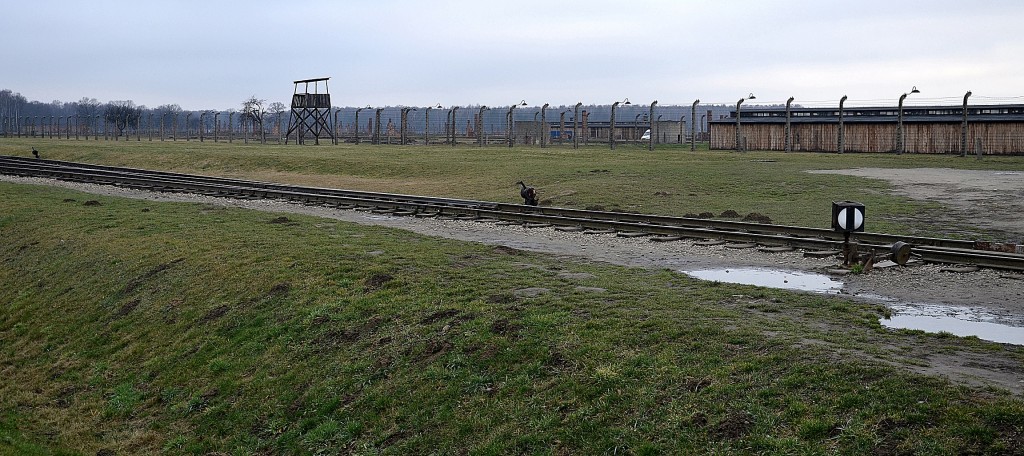 Foto: Campo de exterminio Auschwitz - Birkenau - Oświęcim, Polonia