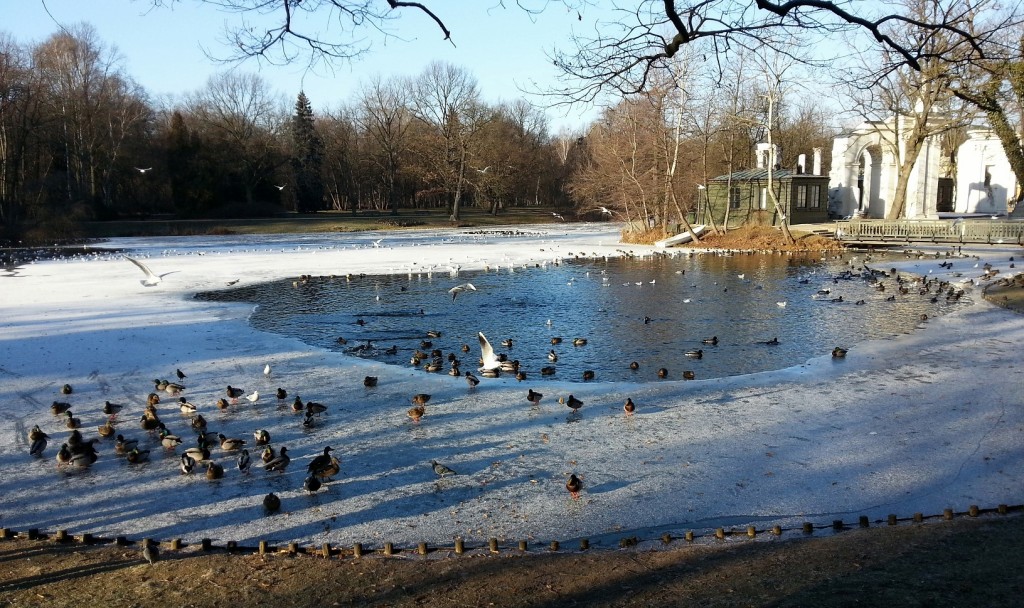 Foto: Łazienki Park - Varsovia (Masovian Voivodeship), Polonia