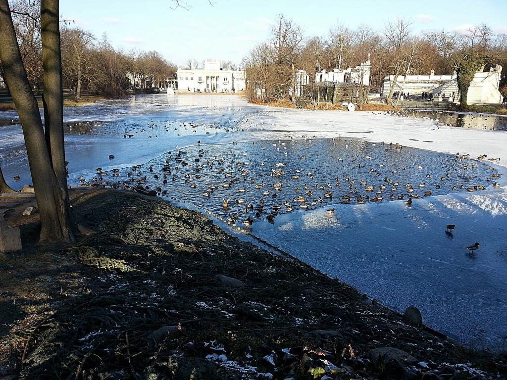 Foto: Palacio en la Isla, Łazienki Park - Varsovia (Masovian Voivodeship), Polonia