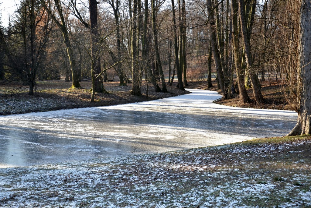 Foto: Łazienki Park - Varsovia (Masovian Voivodeship), Polonia