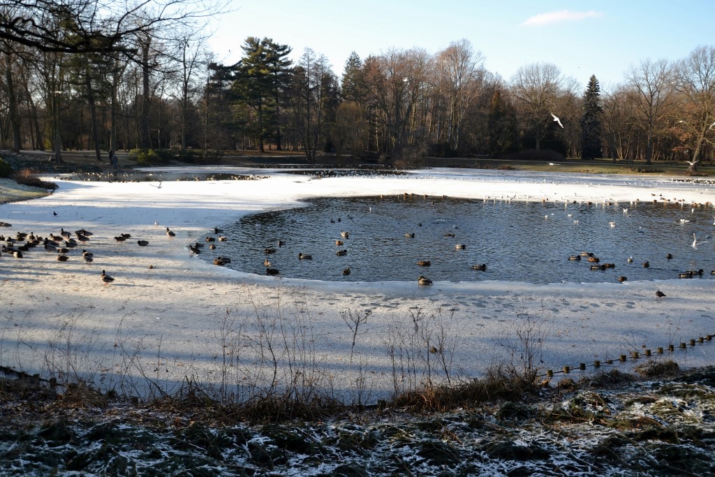 Foto: Łazienki Park - Varsovia (Masovian Voivodeship), Polonia