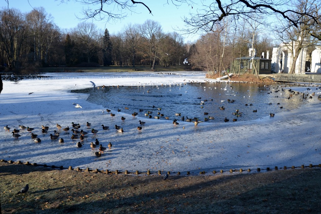 Foto: Łazienki Park - Varsovia (Masovian Voivodeship), Polonia