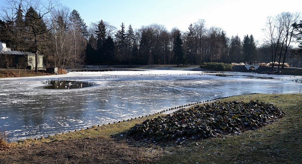 Foto: Łazienki Park - Varsovia (Masovian Voivodeship), Polonia