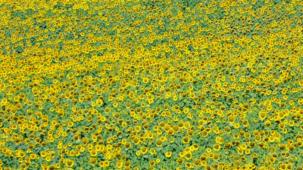 Foto: Paisaje - Massa Marittima (Tuscany), Italia