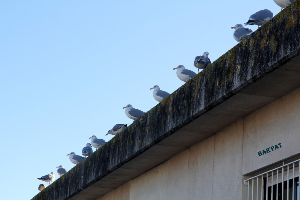 Foto de Bueu (Pontevedra), España