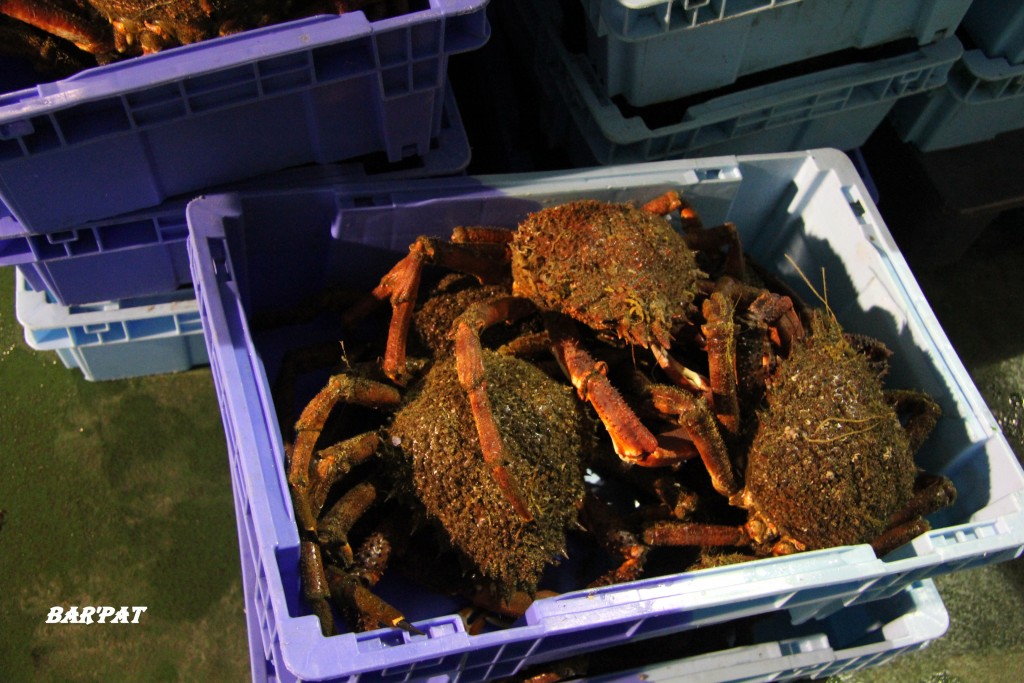 Foto de Bueu (Pontevedra), España