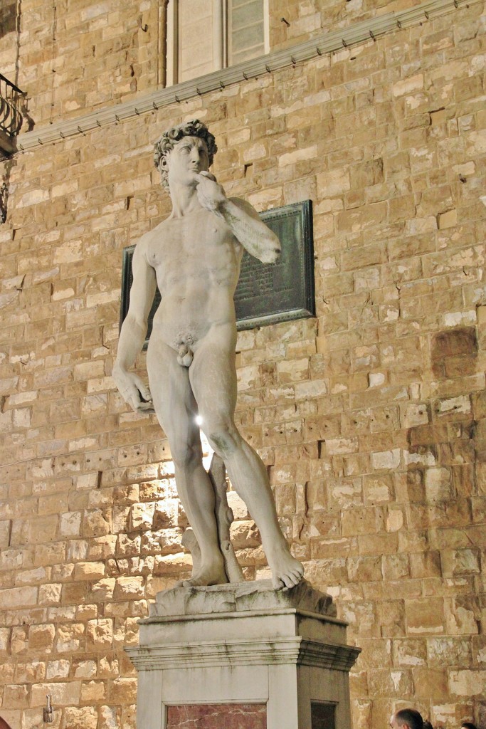 Foto: El David - Florencia (Tuscany), Italia