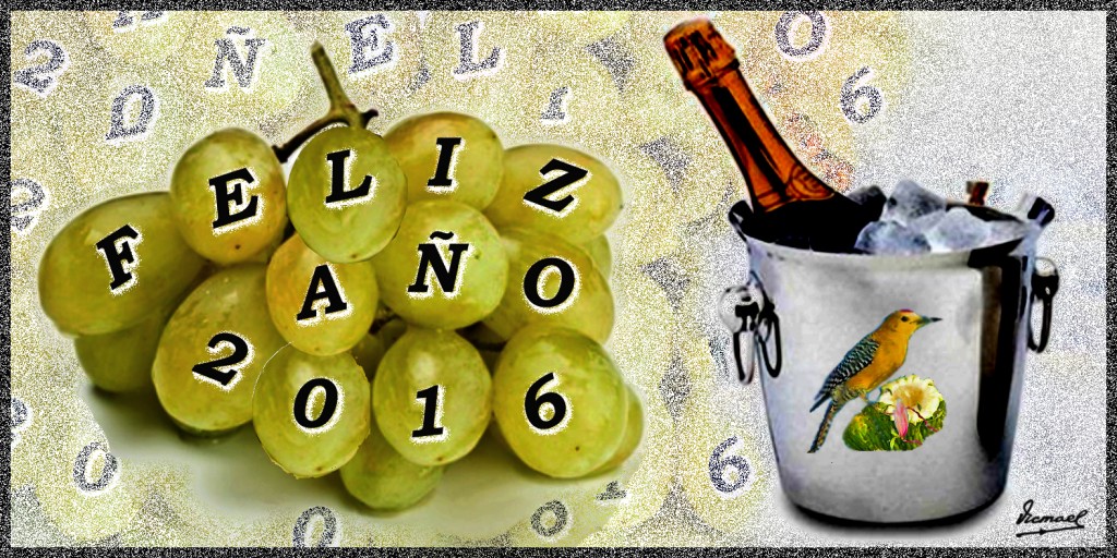 Foto: FELIZ 2016 12 UVAS - Zaragoza (Aragón), España