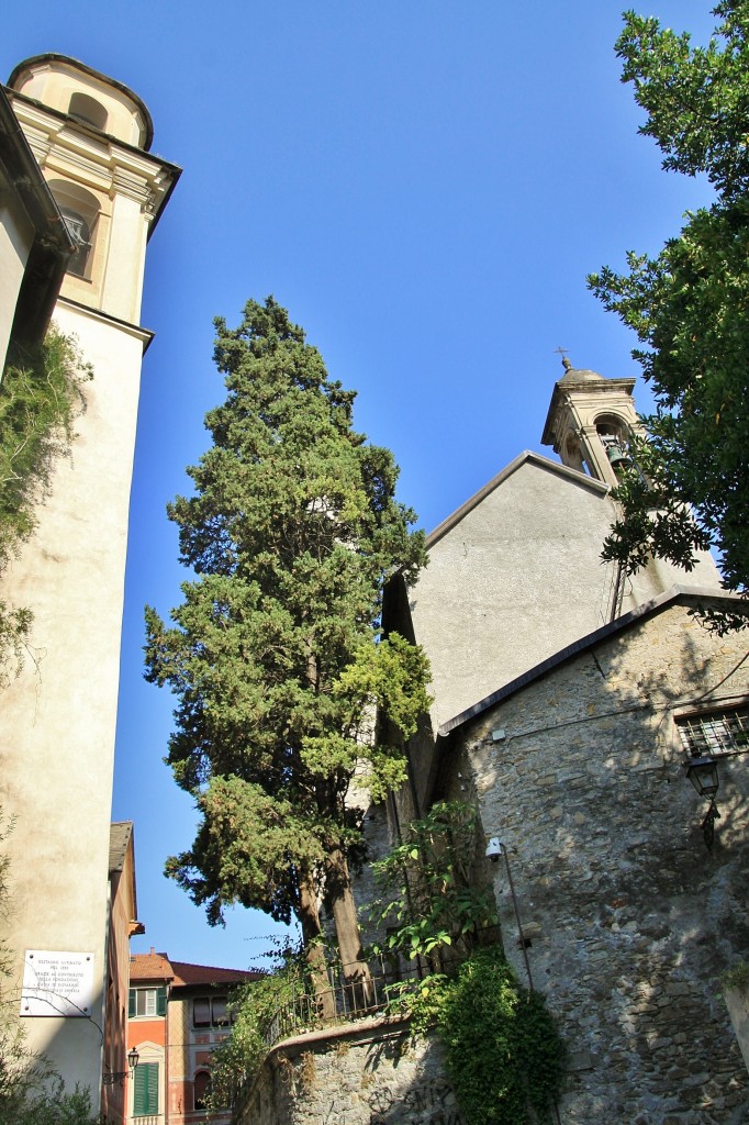 Foto: Centro histórico - Rapallo (Liguria), Italia
