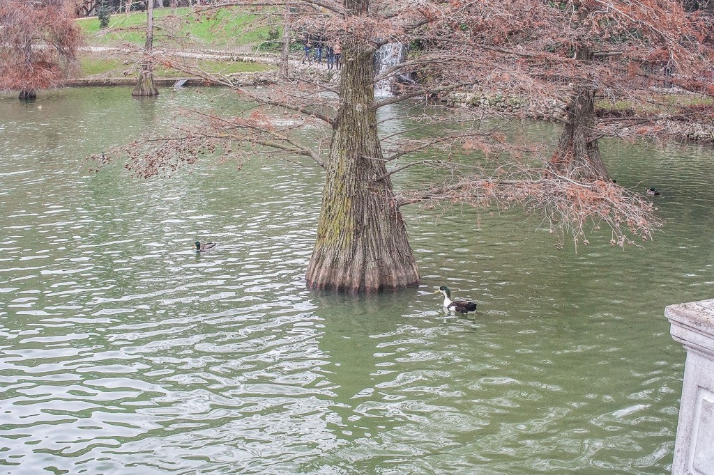 Foto de Madrid (Comunidad de Madrid), España